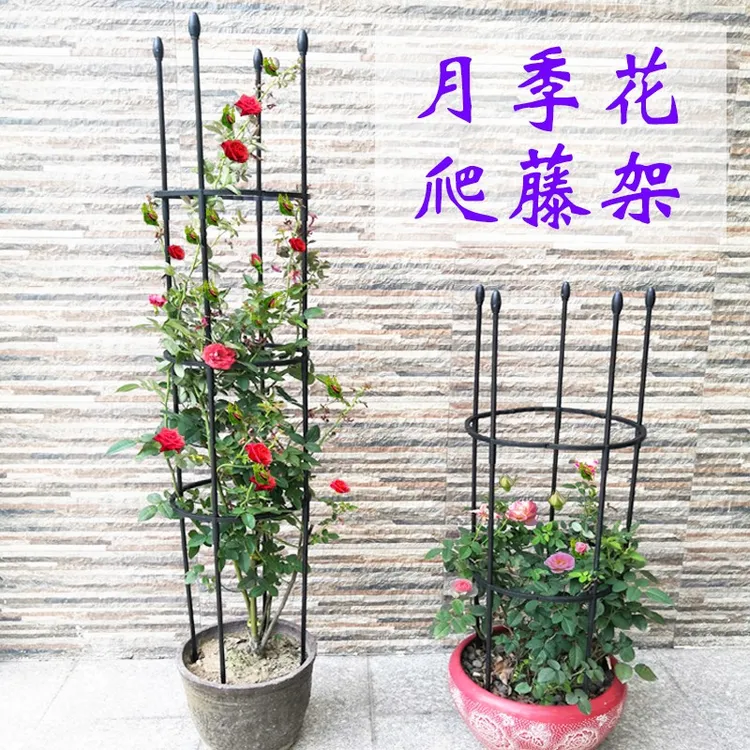 月季花架爬藤架花支架植物攀爬藤架子阳台花卉支撑杆铁线莲园艺