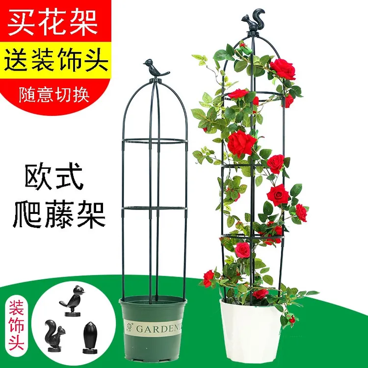 欧式园艺爬藤架月季花铁线莲花支架植物造型攀爬藤架阳台山支撑杆