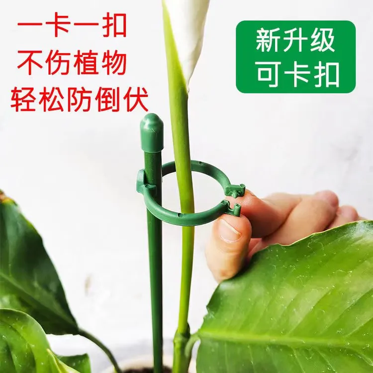 植物固定防倒伏花架子爬藤绣球撑花支架室外花园月季园艺支撑单杆