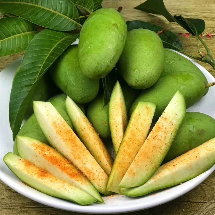 桂美禾酸脆生芒果包邮现摘现发3斤5斤10斤包邮酸脆生吃青芒果