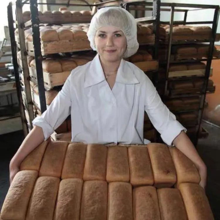 【粉丝专享】500g*2 正品大列巴饱腹面包营养代餐早餐面包