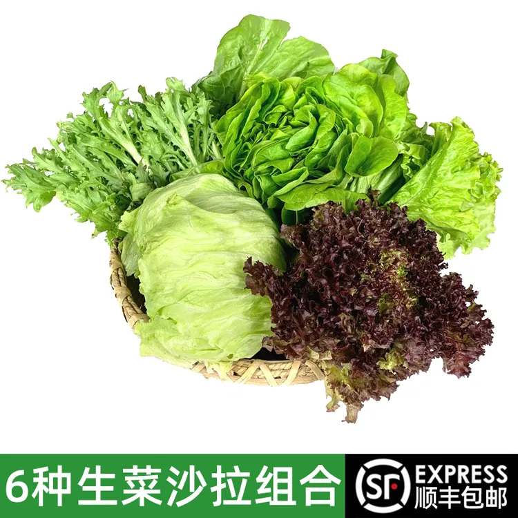 绿食者新鲜6种沙拉蔬菜组合3.5斤 球生菜苦菊生菜西餐沙拉食材