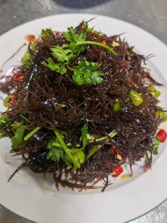 正宗高档冰藻，凤尾藻（非龙须菜，石花菜）