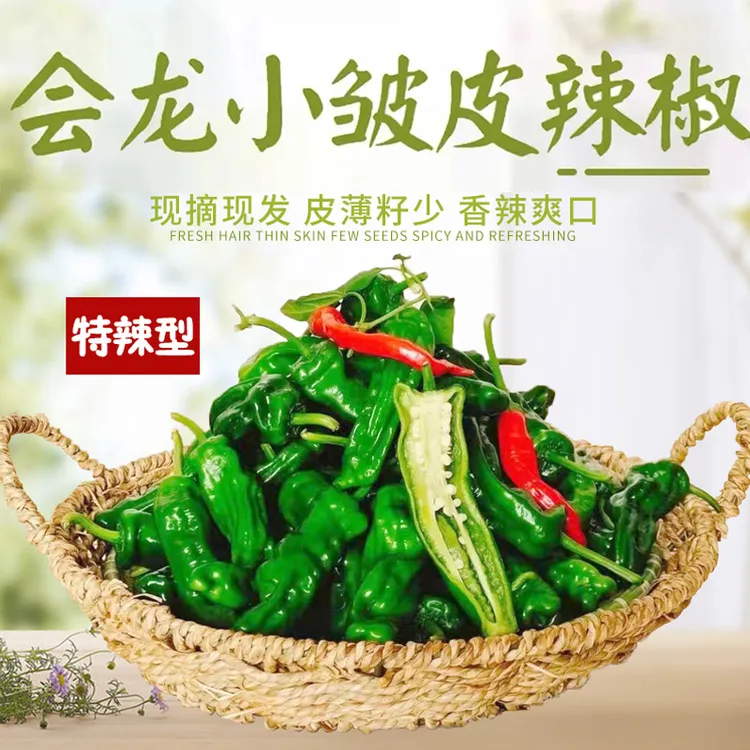 安徽农家特辣薄皮新鲜小皱皮青辣椒超辣虎皮螺丝椒香辣巨辣超辣
