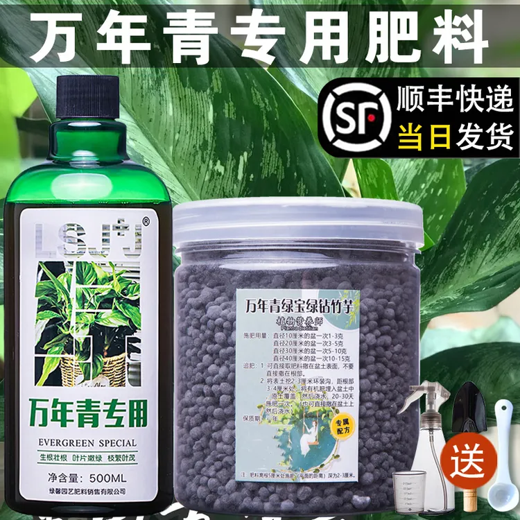 万年青专用肥园艺家用室内养花肥料盆栽通用型银皇后有机复合肥