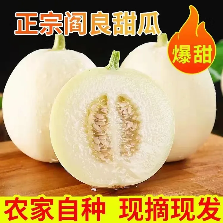 陕西头茬阎良甜瓜应季水果香甜多汁2斤/带箱5斤 新鲜采摘