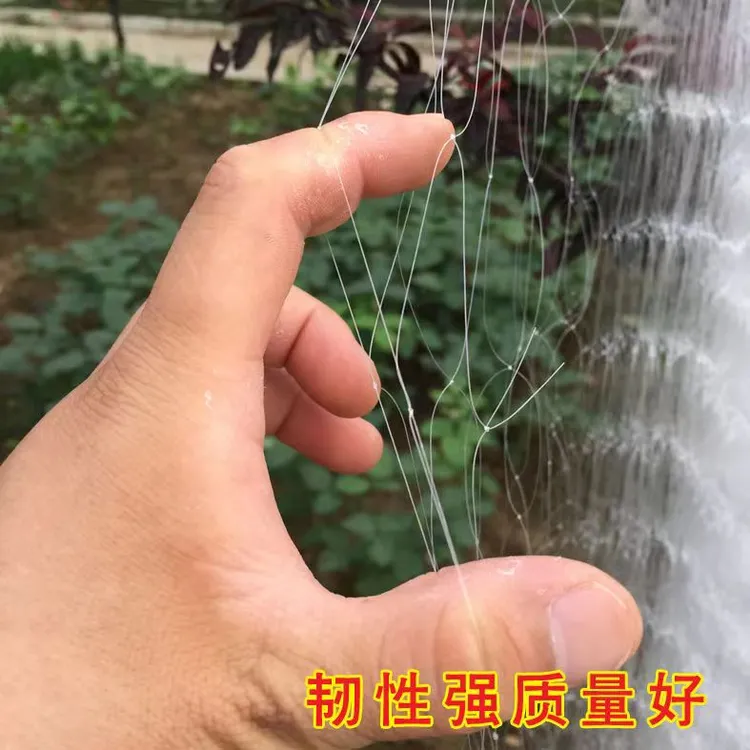 巢湖金辉煌渔网单层渔网加粗丝沉网捕鱼网粘网丝网挂网一层网渔具