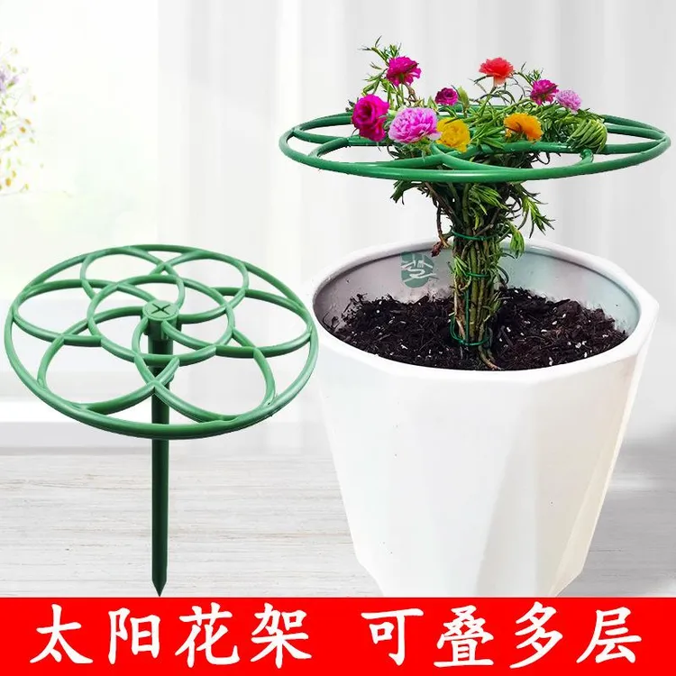 太阳花架子棒棒糖支架花架蟹爪兰嫁接叶仙绿萝单多层支撑爬藤造型