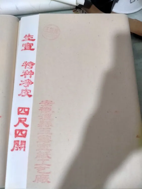 练习专用生宣半生熟四尺四开