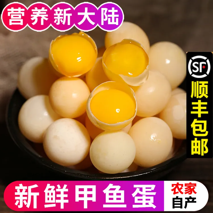 【100个送20个】8年老鳖甲鱼蛋新鲜现发食用生态滋补营养宝宝辅食