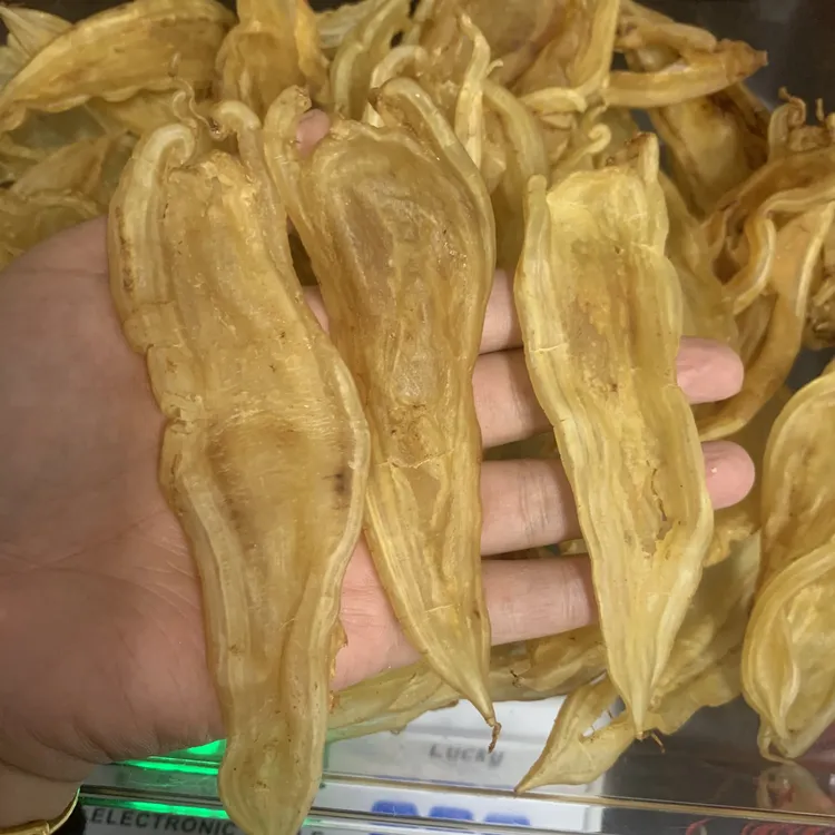 深海纯野双背公胶1-500g包邮