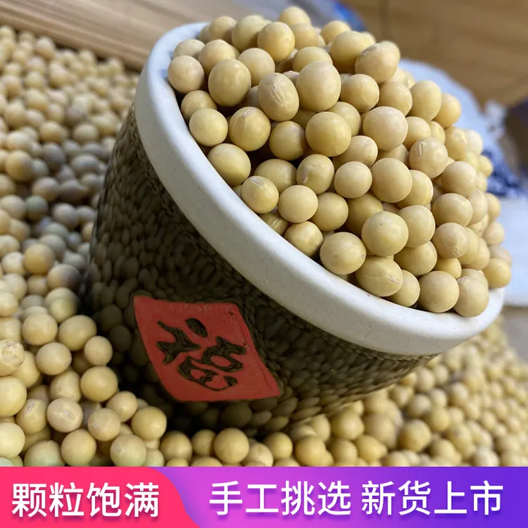 农家自种黄豆磨豆浆发黄豆芽五谷杂粮1斤-5斤