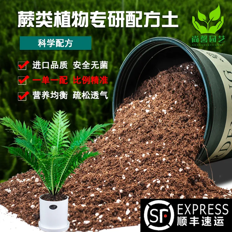 蕨类植物专用土疏松肥沃有机质土壤有机营养土腐殖土弱酸性透气