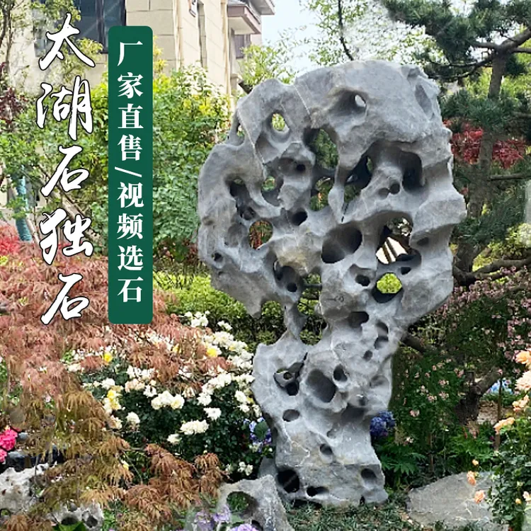 大型太湖石天然原石观赏石大型园林苏式庭院精品定制实惠装饰石