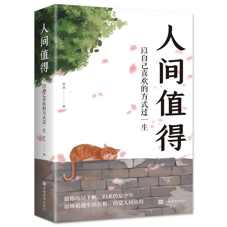 正版人间值得 以自己喜欢的方式过一生高情商哲学智慧心灵放松书