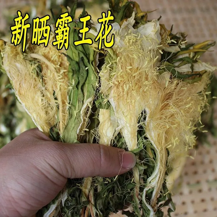 广东肇庆霸王花煲汤材料新货剑花新鲜清甜精选甄选干净味道美味