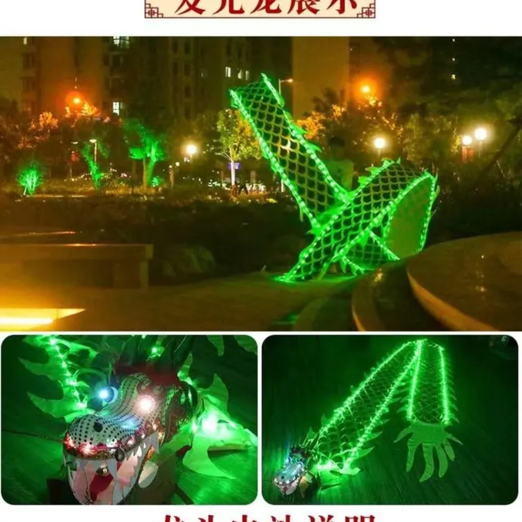 广场健身舞龙彩带夜光龙甩龙中老年舞龙表演道具