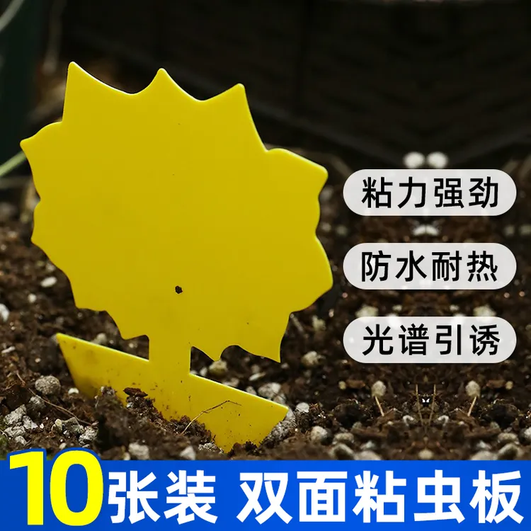 诱虫板蔬菜诱除纸粘防虫黄色粘虫板强力粘蚊子花圃蚜虫贴粘虫板