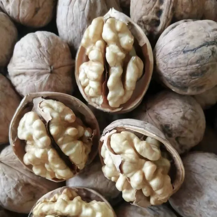 【新疆直发】新疆阿克苏185纸皮核桃手剥纸皮原色原生态无任何加工