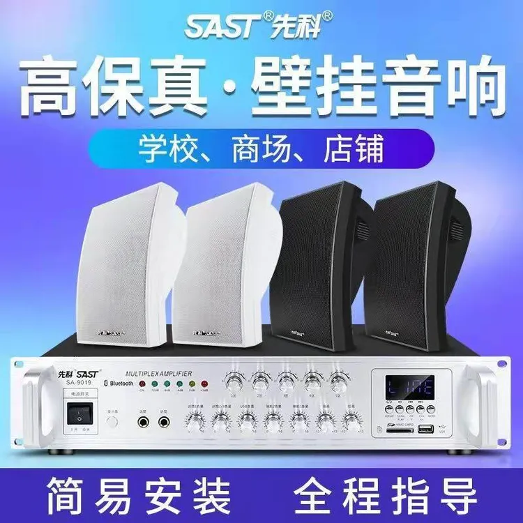先科A2壁挂音响音箱店铺专用室内无线蓝牙超市餐厅挂壁式商用奶茶