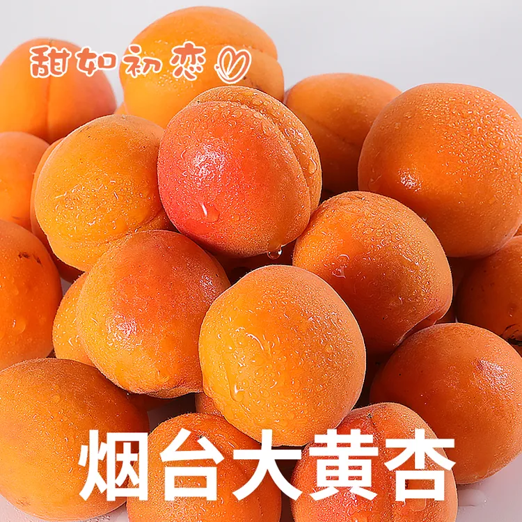 跃居果林【软糯多汁】杏子水果当季新鲜采摘大黄杏软糯香甜