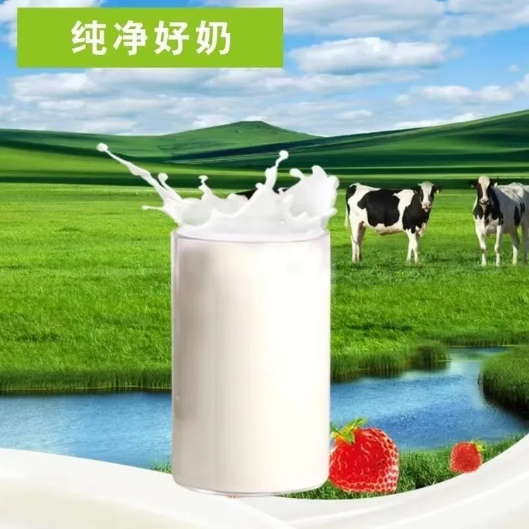 46条码(进口奶源)库伦纳达牌小白牛全脂奶粉500克(国内分装中老年