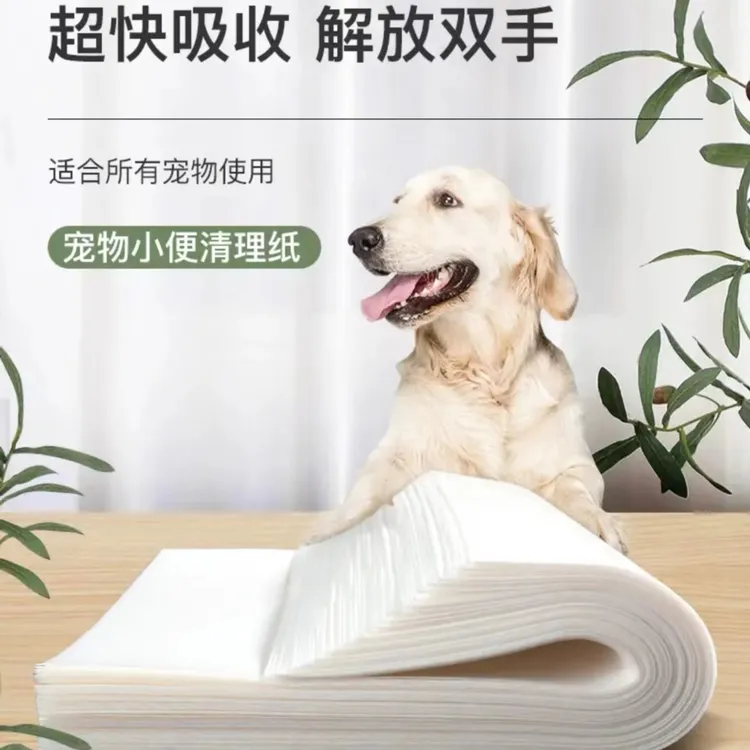 宠物专用吸尿纸卫生方便加厚瞬吸吸水性防漏双层尿片猫狗吸神器