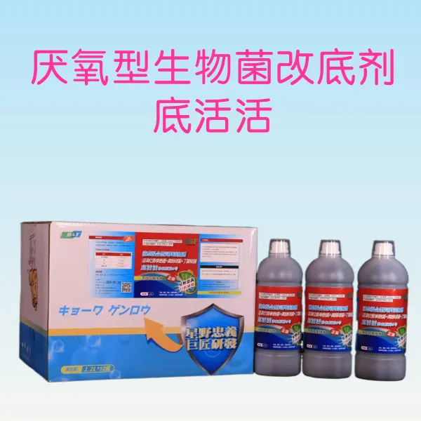 米来水产底活活沼泽红假单胞菌粪肠菌丁酸梭菌厌氧菌有改底效果得