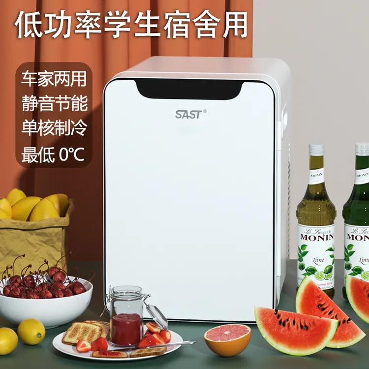 先科车载冰箱迷你小型冰箱办公室宿舍租房车家两用小型冷藏冰箱