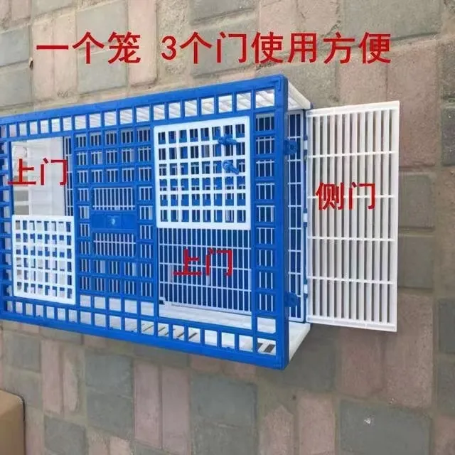 爱鸽鸽用塑料放飞笼