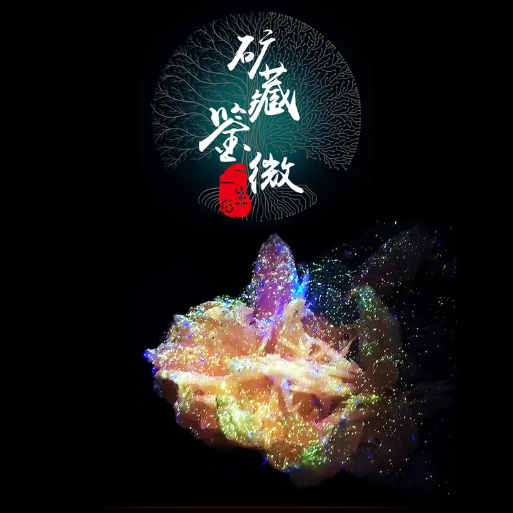 一生一石 矿藏鉴微 天然晶石共生矿标摆件 水晶方解石萤石铁矿物