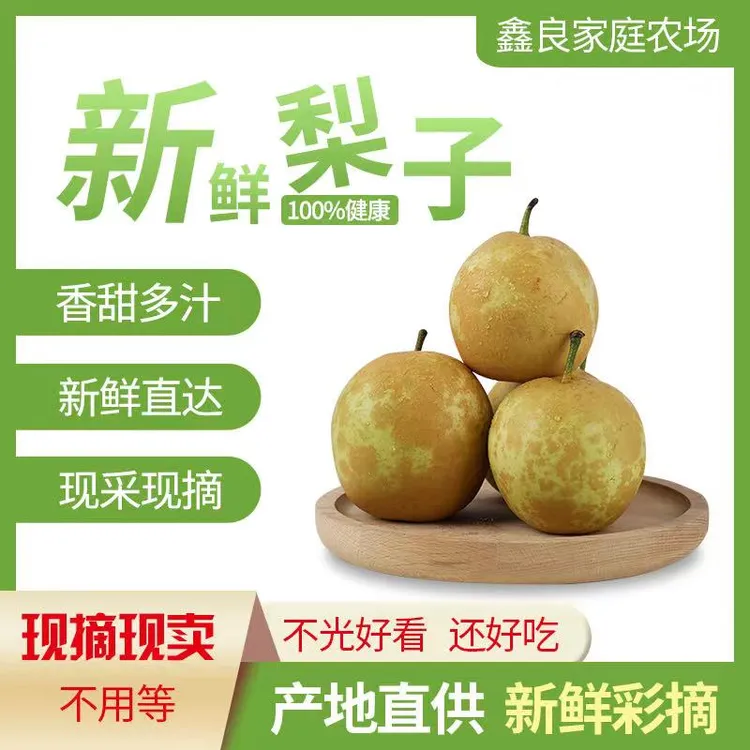 金溪蜜梨翠冠套袋梨子应季水果约九斤