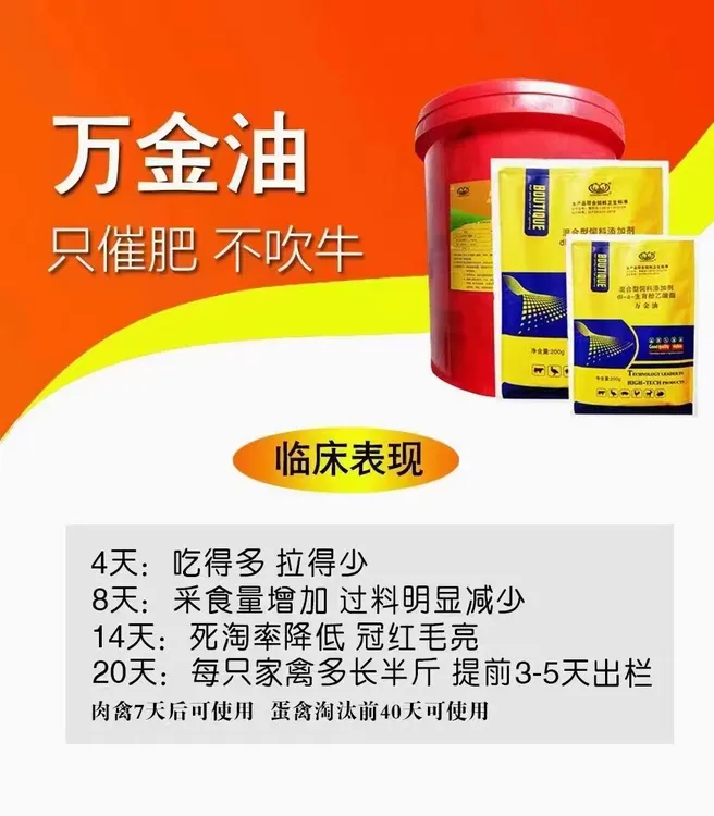 《万金油》拉骨架，早出栏，卖相好，长势均匀