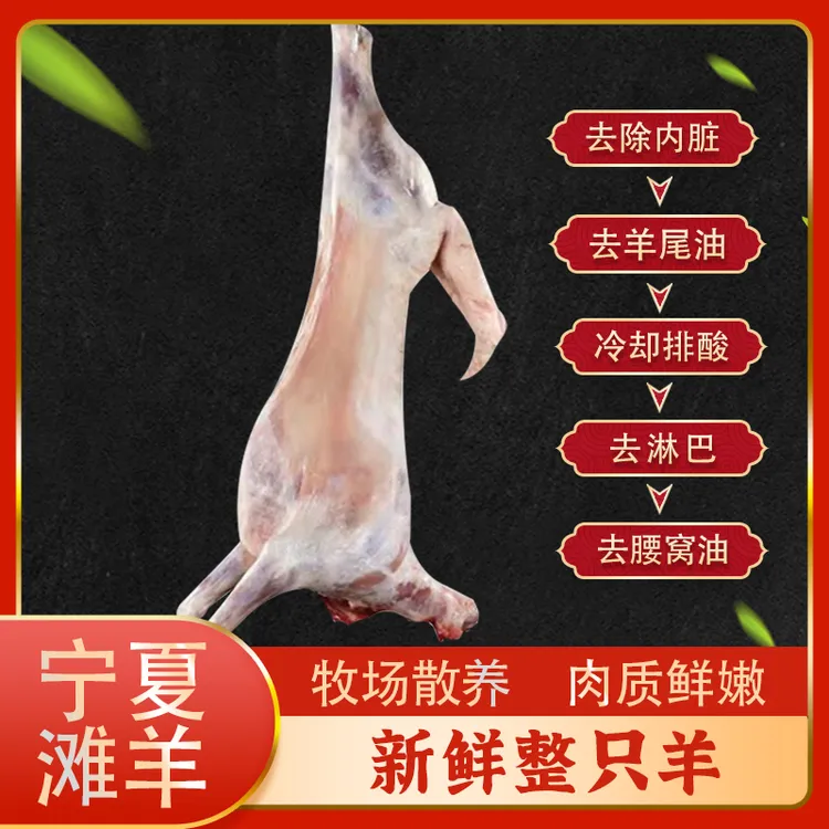 宁夏滩羊肉-整只羊/乳羔羊-16斤30斤全羊 牧场直营只做鲜肉 包邮
