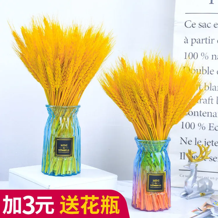 天然黄金diy麦穗干花开业大麦家用装饰客厅摆放装饰家用麦穗摆件