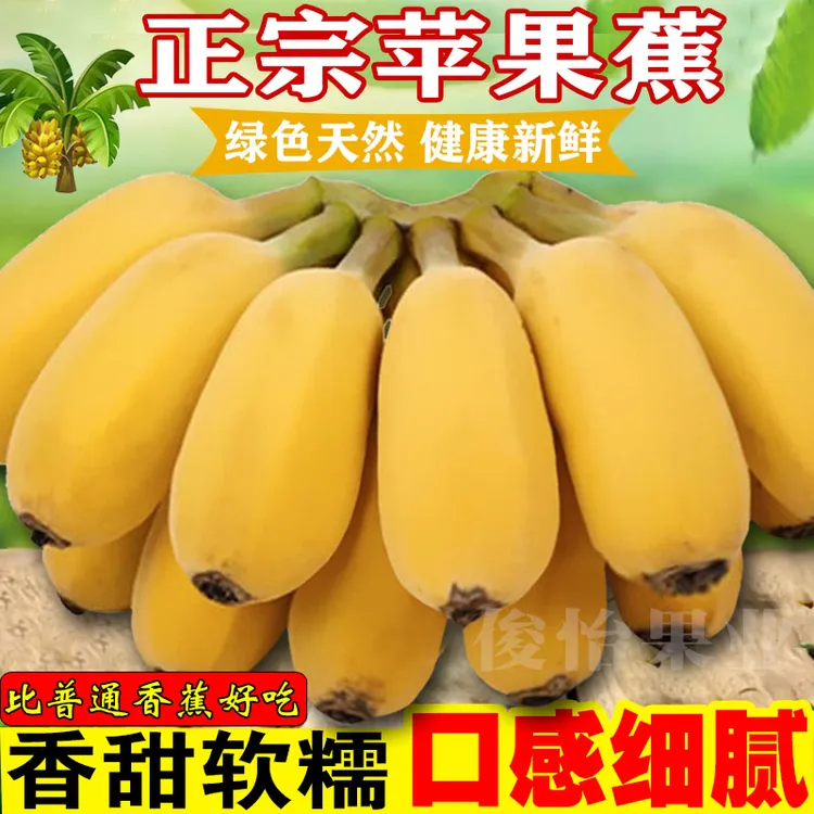 正宗苹果蕉香甜软糯广西批发香蕉芭蕉应季新鲜水果产地直发5/9斤