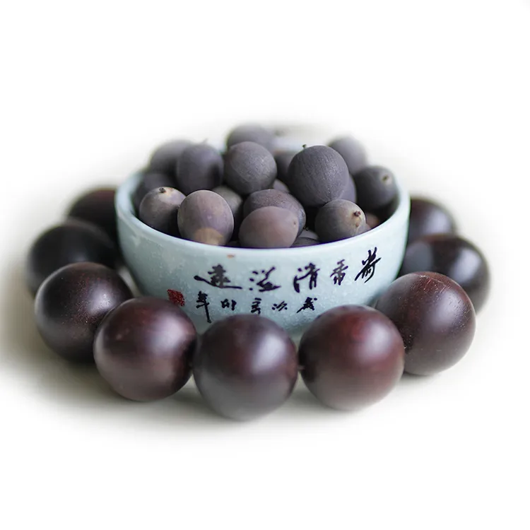 非栽培季节周劲松5粒开口家族阳窗露台盆栽水生碗莲荷花种籽子