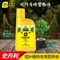 史丹利观叶植物营养液盆栽绿植天堂鸟幸福树竹子龟背竹通用肥