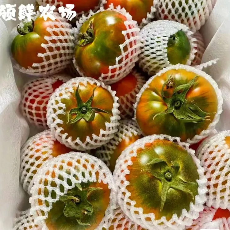 【顺丰包邮】丹东盐碱地铁皮柿子绿腚草莓柿子 孕妇水果番茄3/5斤