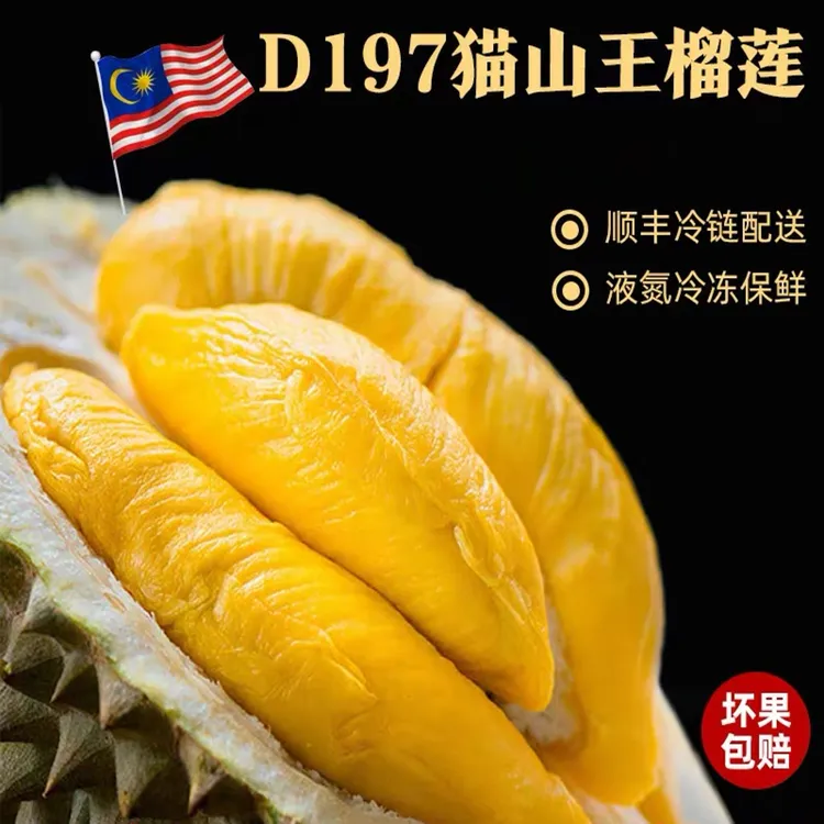 【猫山王榴莲】马来西亚进口D197树熟黑刺榴莲D200果泥/榴莲肉 400g商品图