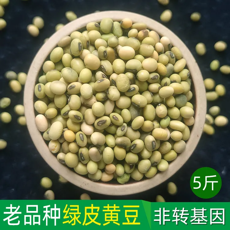 农家自种黄豆老品种5斤青皮绿皮土黄豆非转基因豆打豆浆豆腐包邮