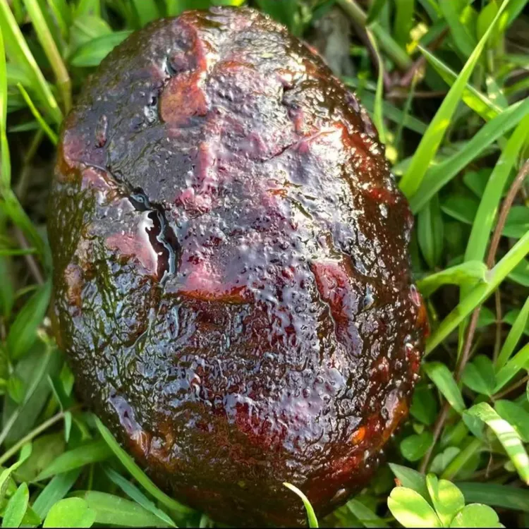 【五花肉猪血丸子】湖南邵阳特产手工血豆腐正宗手工猪血粑丸子200g