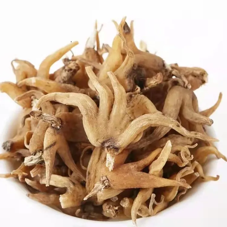 手掌参西藏特产佛手参100克250克/500克新鲜食用煲汤鲁朗石锅鸡