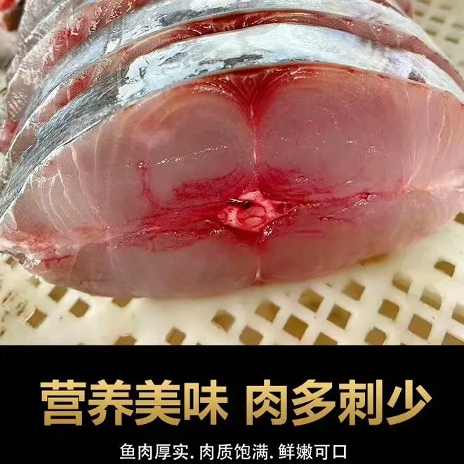 海南深海大马鲛鱼片新鲜冷冻无小刺嫩滑肉质康氏马鲛顺丰发货