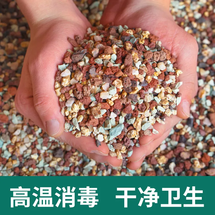 【粉丝福利】多肉土专用颗粒土纯颗粒土营养土适合多肉盆栽彩虹石子