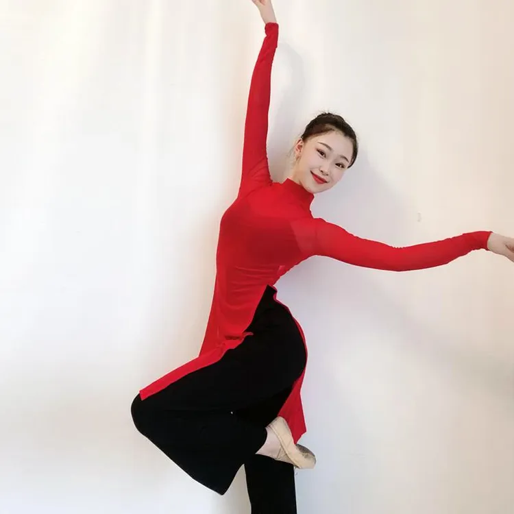 舞蹈服女古典舞身韵纱衣长款小高领上衣古典舞服装仙气飘飘纱衣
