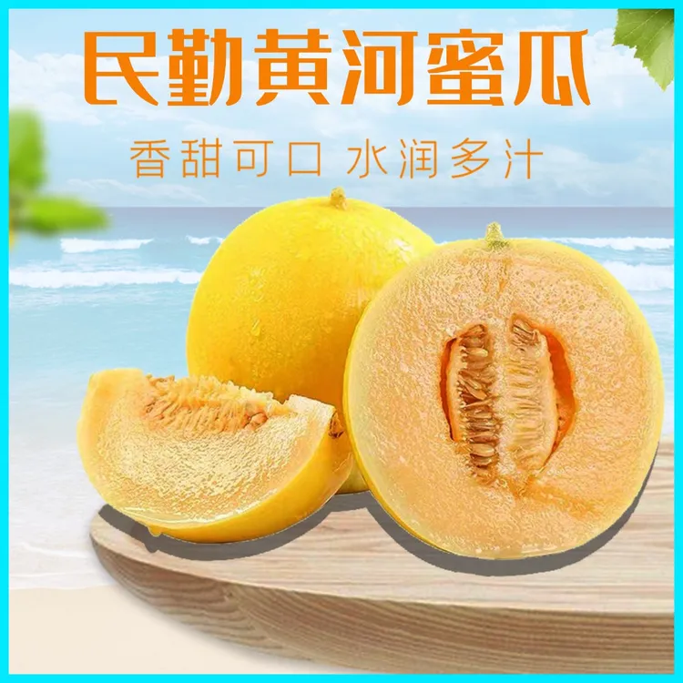 【产地直发】精选礼盒装4枚（13-15斤）甘肃民勤沙漠金红宝民勤蜜瓜