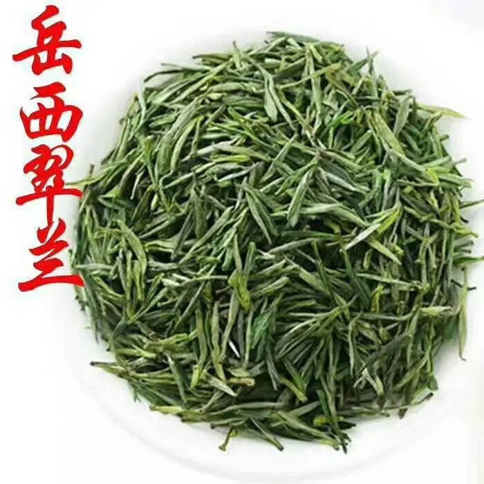 岳西翠兰雨前经济实惠高山茶，芽叶相连，汤色青绿茶蒲公英清香型