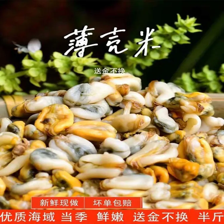 当季海瓜子肉潮汕特产薄壳米薄壳肉海鲜新鲜批发实惠贝壳 蚝