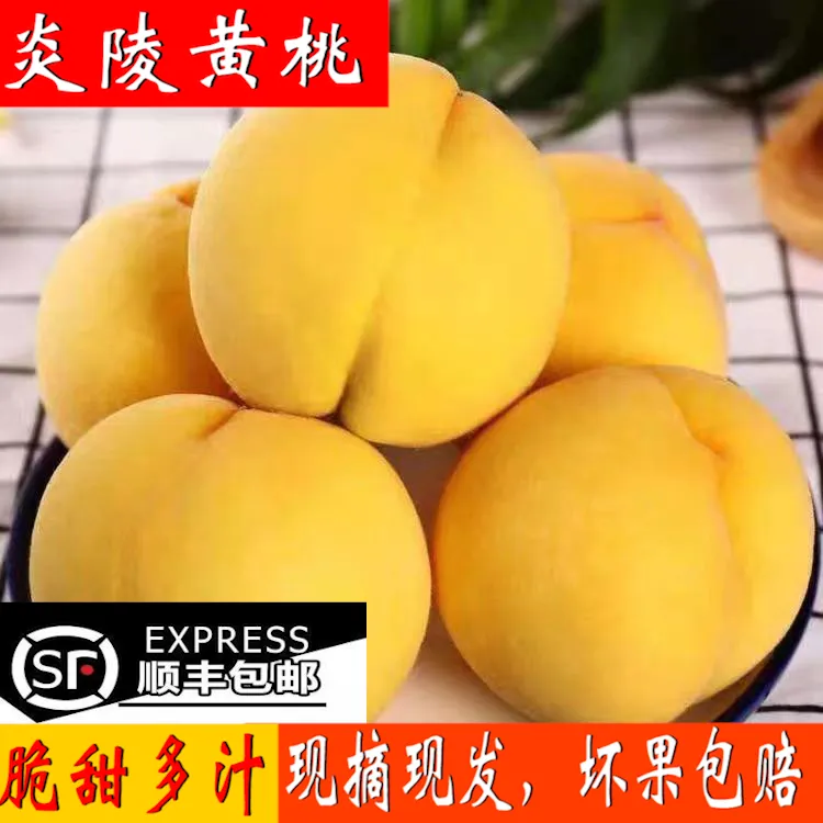 湖南正宗炎陵黄桃水果新鲜当季孕妇现摘现发5/8斤顺丰包邮礼盒装